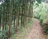 dscf0023.jpg