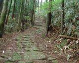dscf0025.jpg