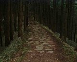 dscf0031.jpg