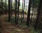 dscf0032.jpg