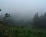 dscf0036.jpg