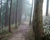 dscf0038.jpg