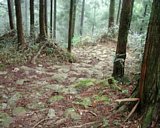 dscf0040.jpg