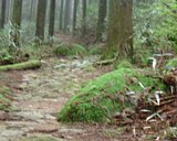 dscf0048.jpg