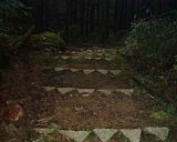 dscf0052.jpg