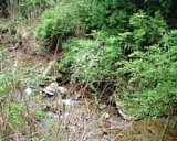 dscf0057.jpg