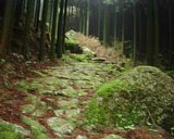dscf0067.jpg