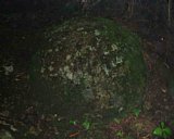 dscf0068.jpg