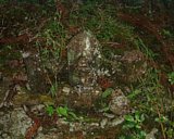 dscf0070.jpg