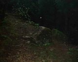 dscf0072.jpg