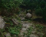 dscf0073.jpg