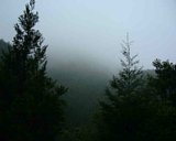 dscf0075.jpg
