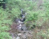 dscf0077.jpg