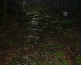 dscf0079.jpg