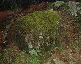dscf0081.jpg