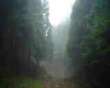 dscf0083.jpg