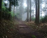 dscf0088.jpg