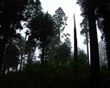 dscf0092.jpg