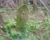 dscf0105.jpg