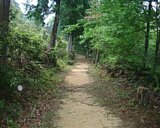 dscf0119.jpg