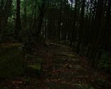 dscf0121.jpg
