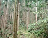 dscf0122.jpg