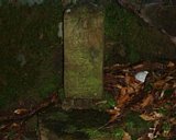 dscf0123.jpg
