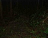 dscf0129.jpg
