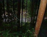 dscf0133.jpg