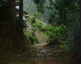 dscf0135.jpg