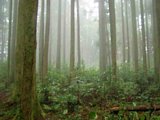 03101113.jpg
