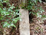 tn008.jpg
