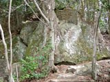 tn010.jpg