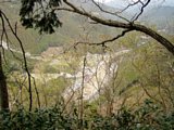 tn018.jpg