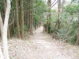 tn040.jpg