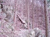 tn074.jpg