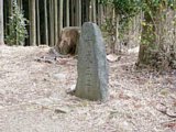 tn086.jpg