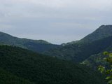 p4260031.jpg