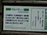 p4260037.jpg