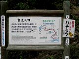 p4260067.jpg