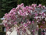 04040338.jpg