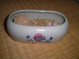 ヒメウズラ用餌入れ(通称 小判)