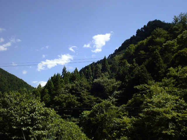tanzawa4.jpg (163513 oCg)