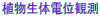 A̓dʊϑ 