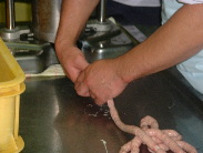 �E�C���i�[�̐���H���U