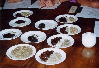 グリーンアイズのコーヒー豆の説明の写真A