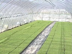 ���J����̕c��̎ʐ^