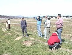 ���J����̓c��ڂ̎ʐ^