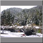 56fb2296c41f-0.jpg