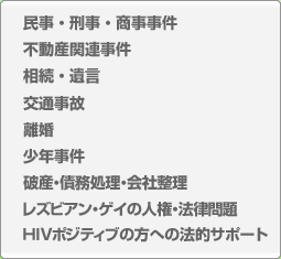 民事・刑事・商事事件、不動産関連事件、相続・遺言、交通事故、離婚、少年事件、破産・債務処理・会社整理、レズビアン・ゲイの人権・法律問題、HIVポジティブの方への法的サポート